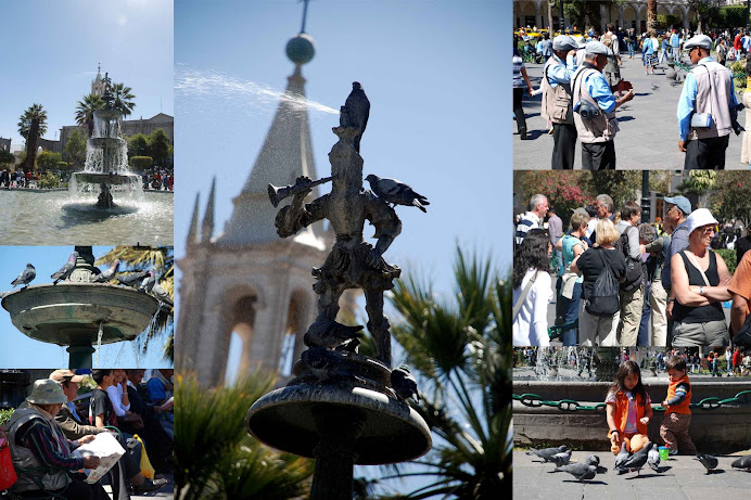 EL MUNDO DEL TUTURUTU - AREQUIPA