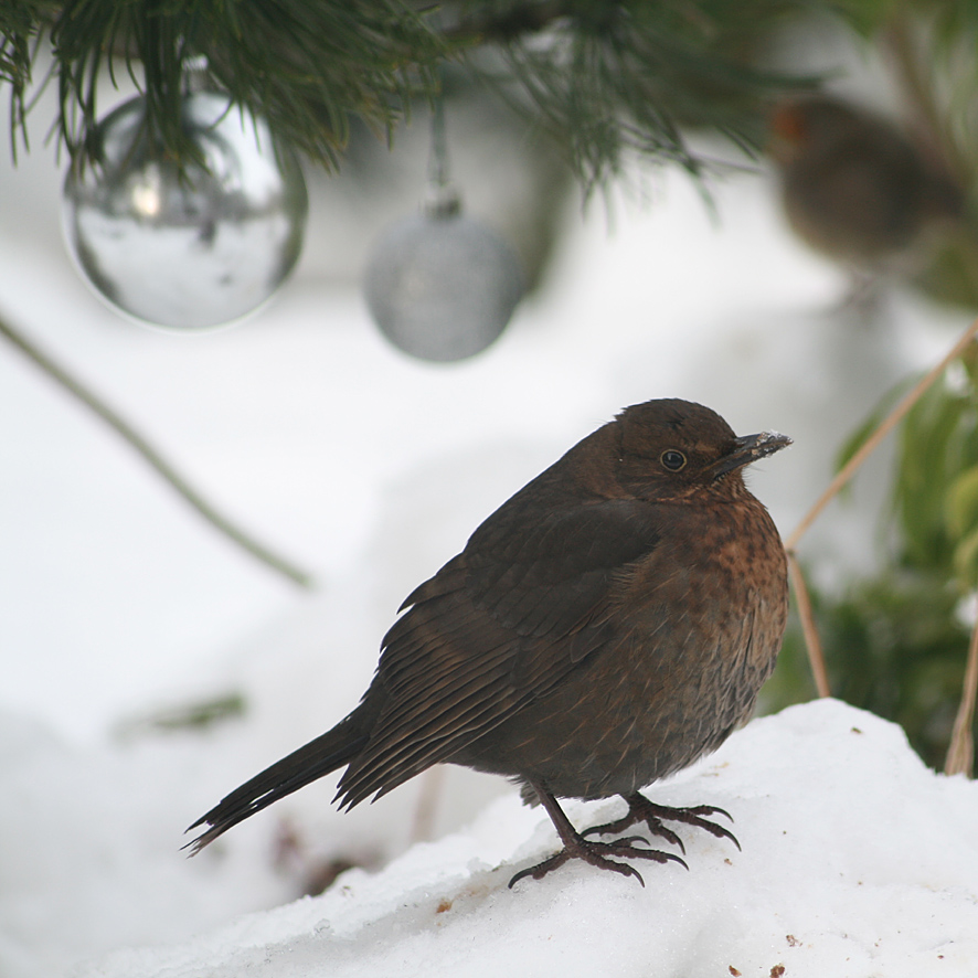 [SGW10+JAN4+(6).jpg]