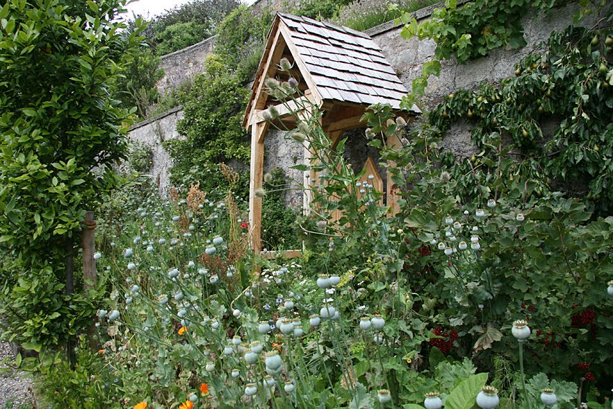 [SGW09+GVJUL28,+Culross+(8).jpg]