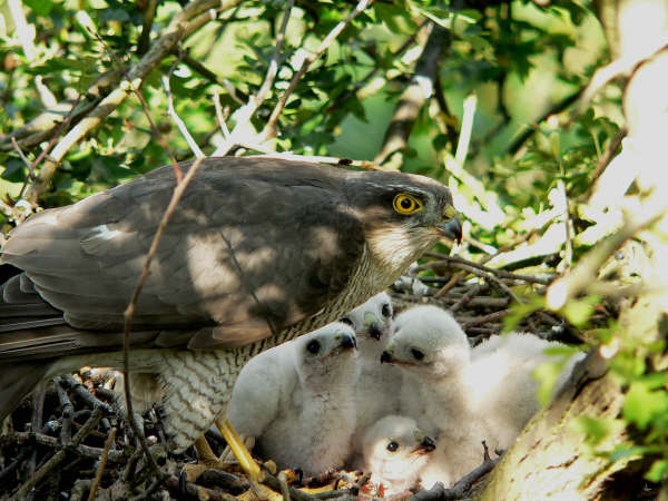 [Property+of+David+Culley+P1140240.JPG]