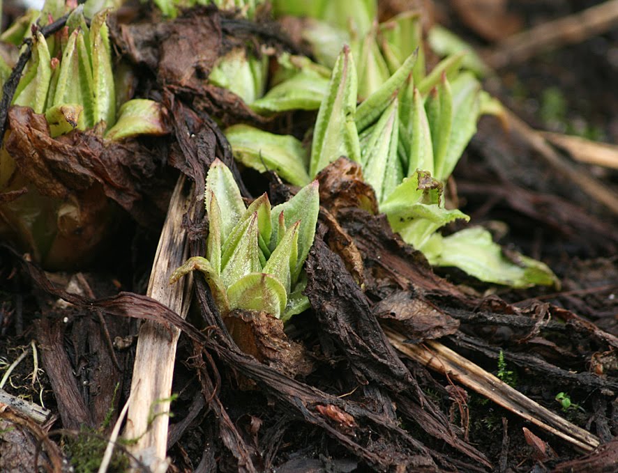 [SGW10+GBBD+FEB+(3).jpg]