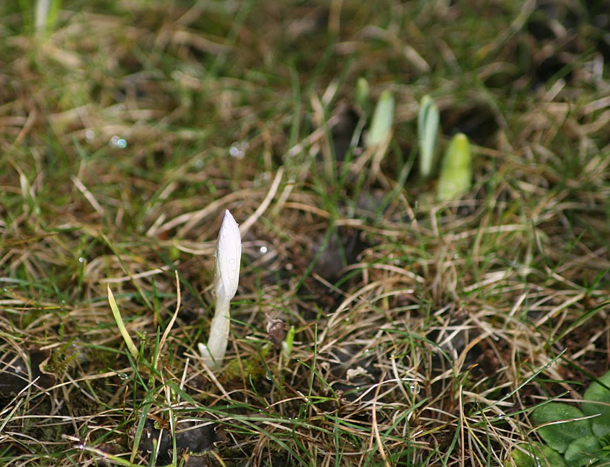 [SGW10+GBBD+FEB+(2).jpg]