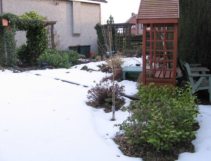 [SGW10+EOM,+FEB28+(12).jpg]