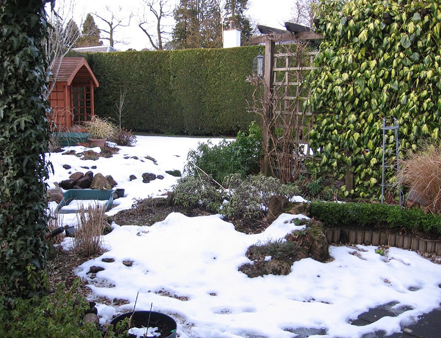 [SGW10+EOM,+FEB28+(11).jpg]