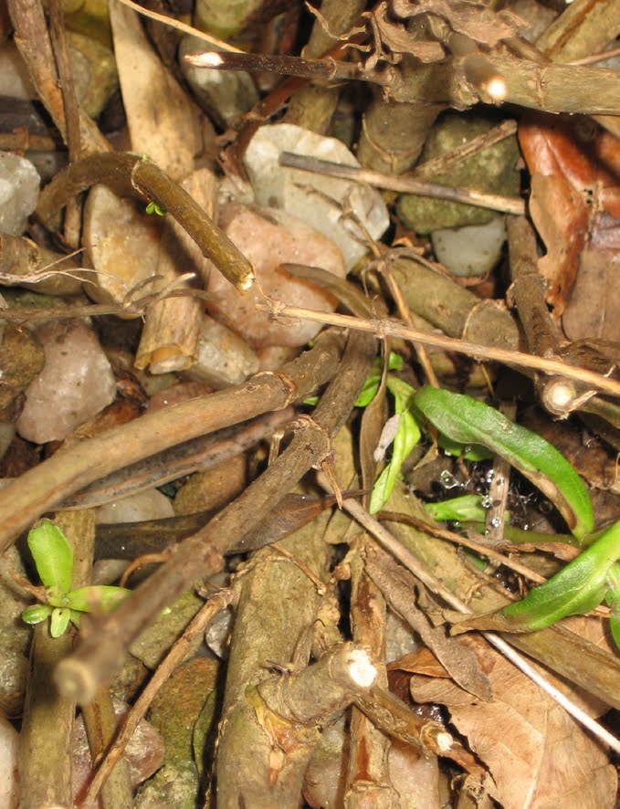 [SGW10+EOM,+FEB28+(4).jpg]