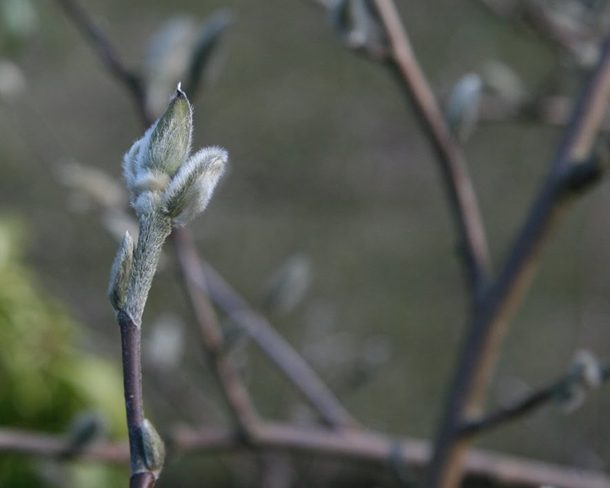 [SGW10+MAR15+(12).jpg]