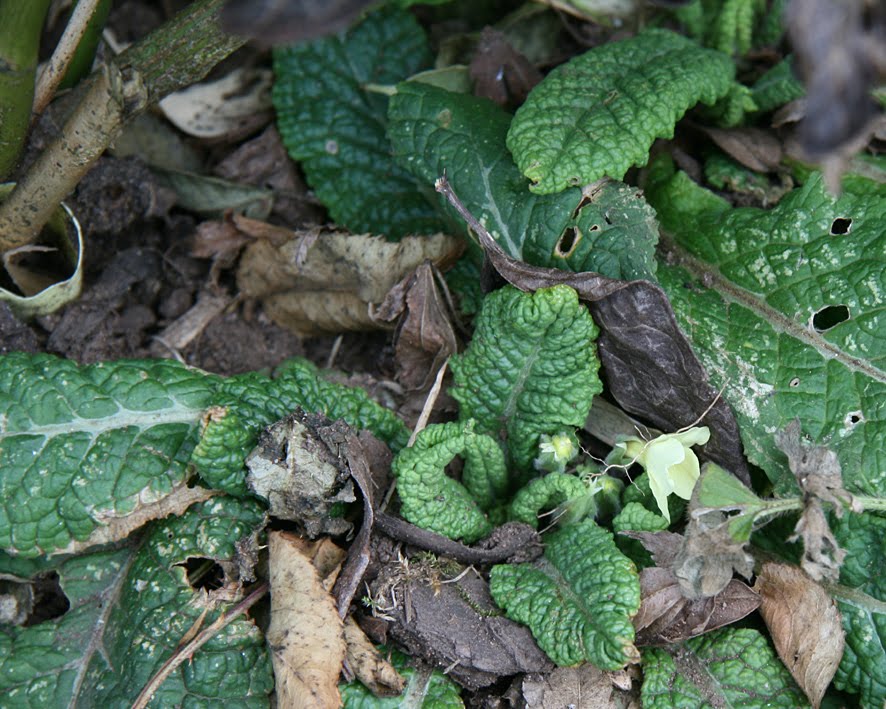 [SGW10+MAR15+(13).jpg]