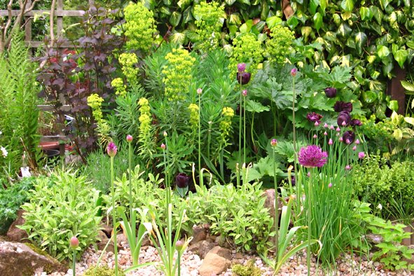 [GARD08,+MAY27+(1).jpg]