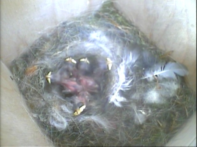 [CNB08+JUN1,+0945,13.jpg]