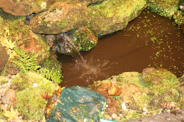 [Pond,+pump+off,+Oct+27th+crop.jpg]