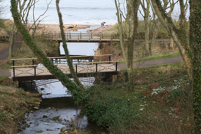 [Cambo+Snowdrop+visit+FEB28,+2009+(20).jpg]