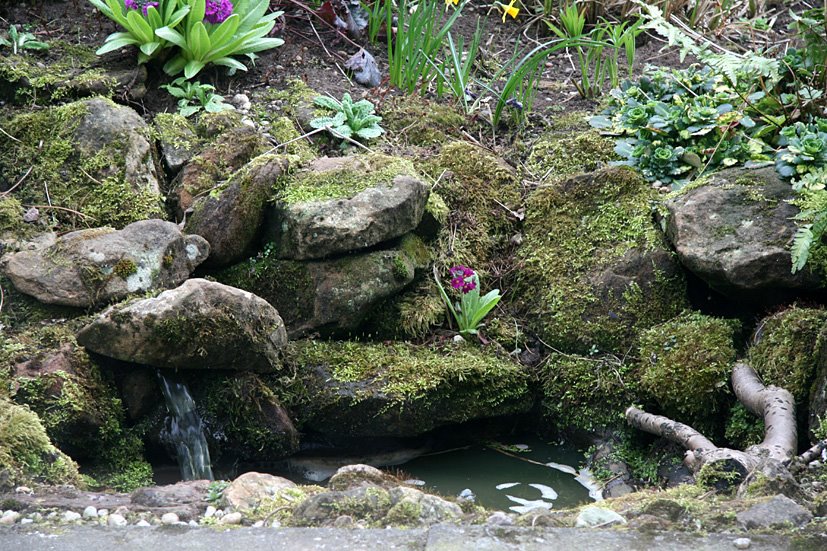 [Wakey+wakey,+APR4+(7).jpg]