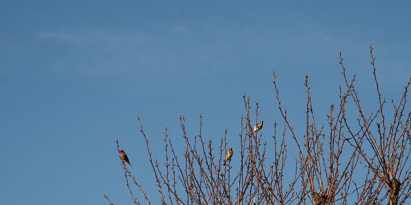 [Wakey+wakey,+APR4+(2).jpg]