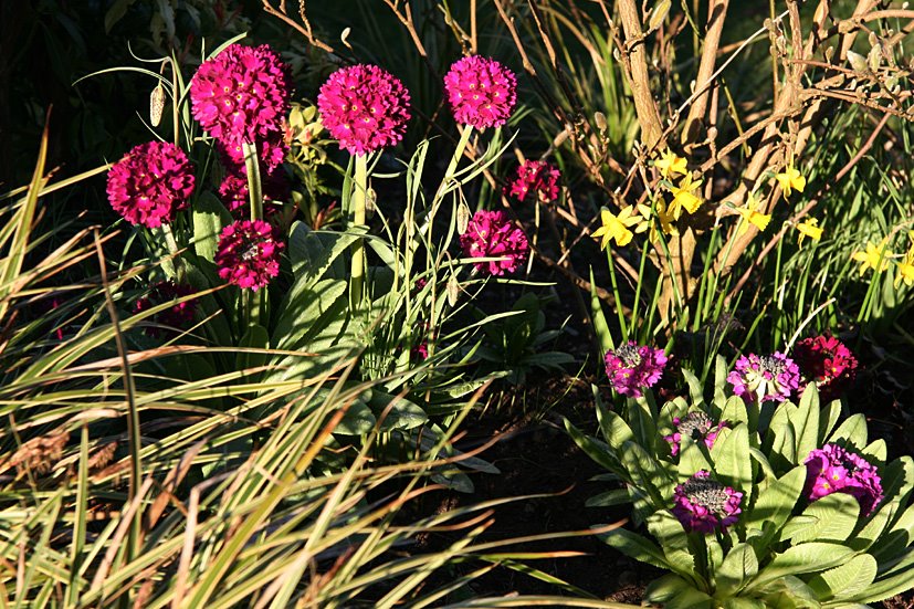 [Wakey+wakey,+APR4+(5).jpg]