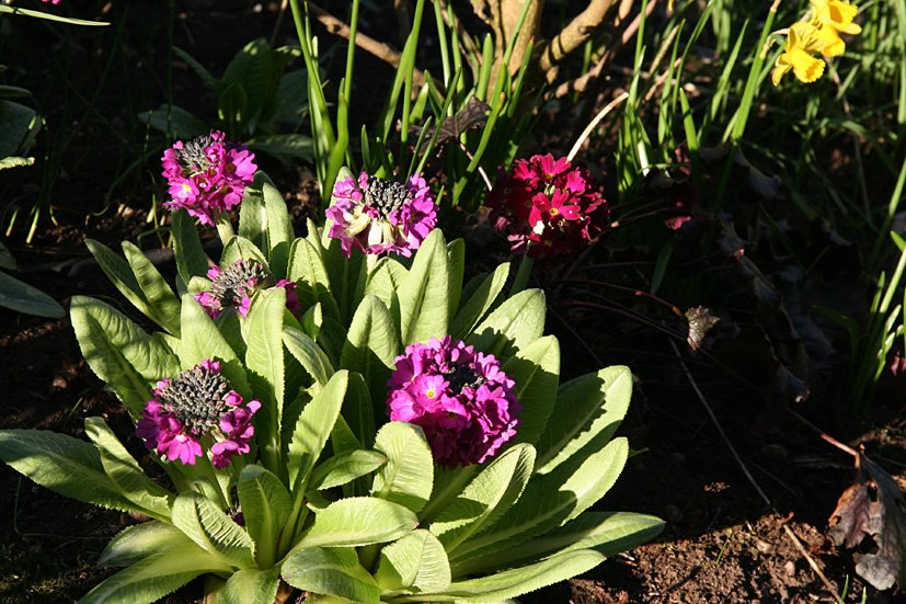 [Wakey+wakey,+APR4+(4).jpg]