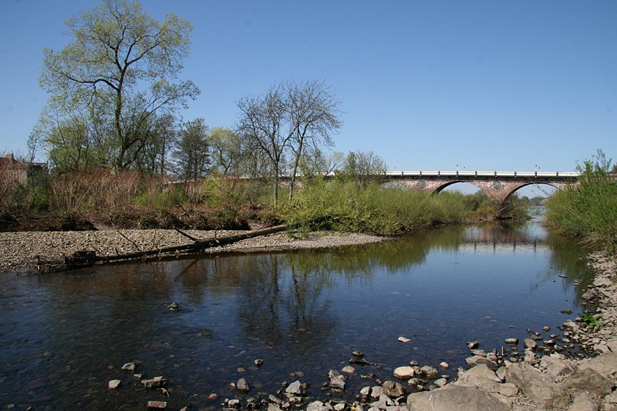 [River+Tay+trails,+Perth+(2).jpg]