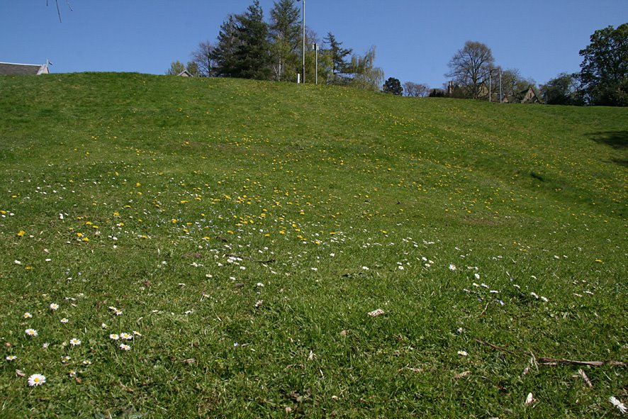 [River+Tay+trails,+Perth+.jpg]