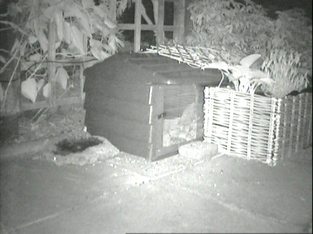 [HOG09+MAY+2219.jpg]