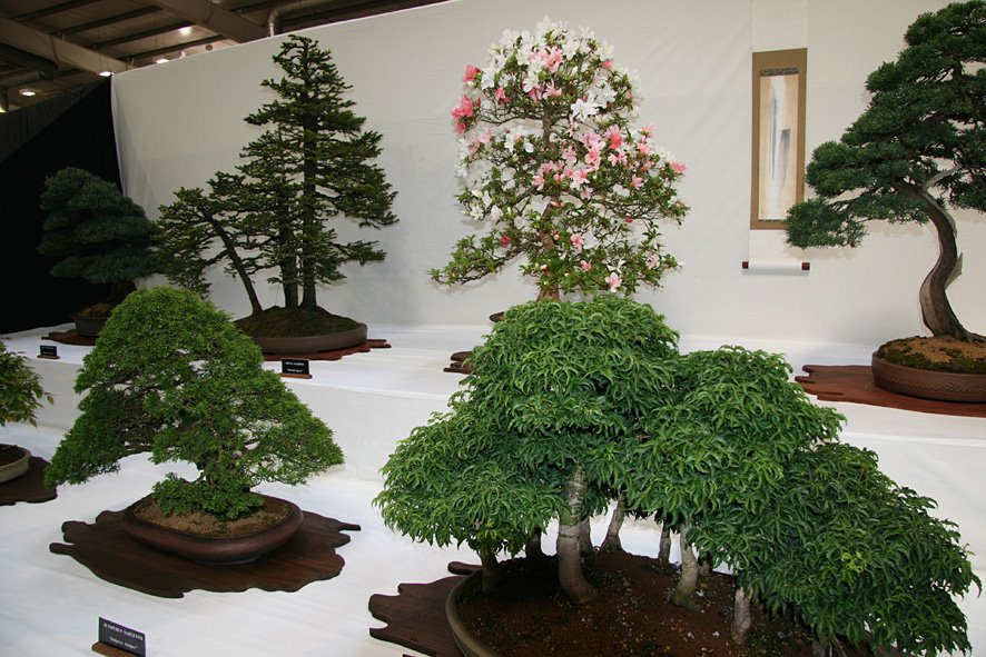 [GARDSCOT09+(12).jpg]