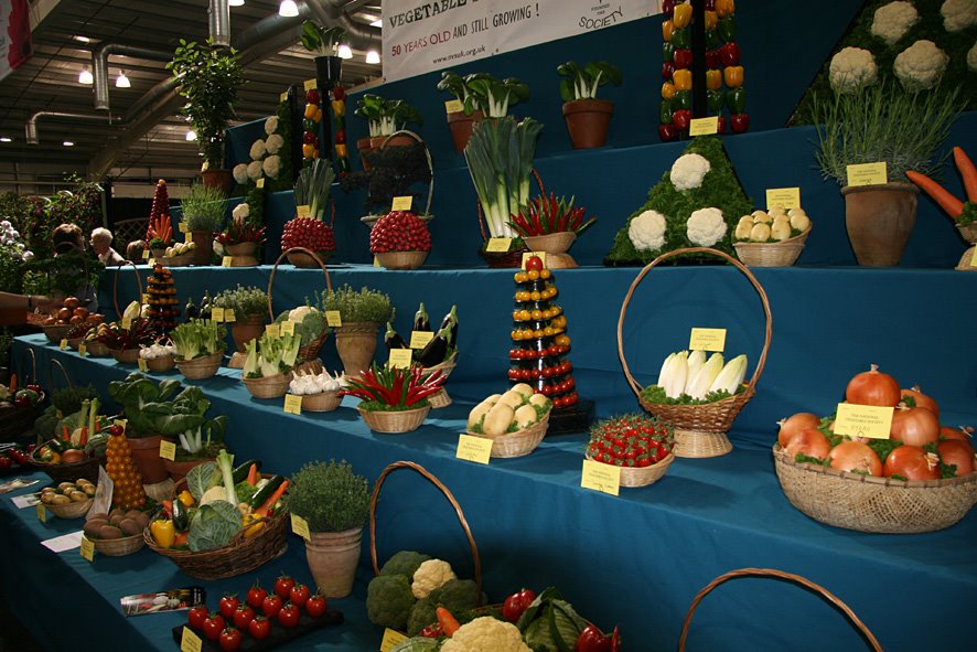 [GARDSCOT09+(11).jpg]