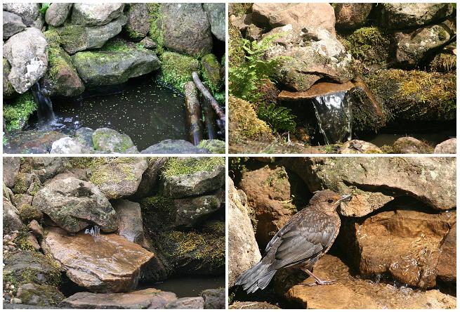 [POND09,+waterfall+changes2.JPG]