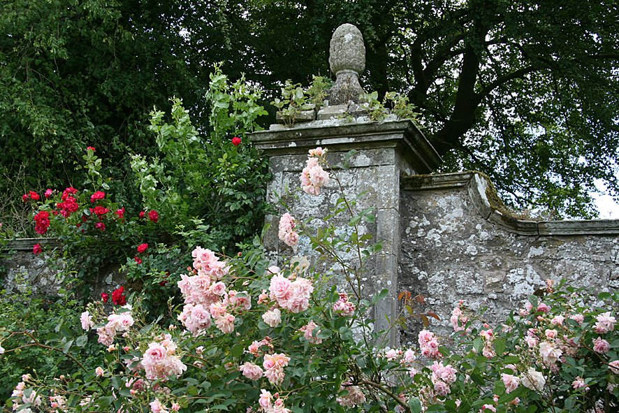 [Kinross+House+Garden+JUL9(17).jpg]