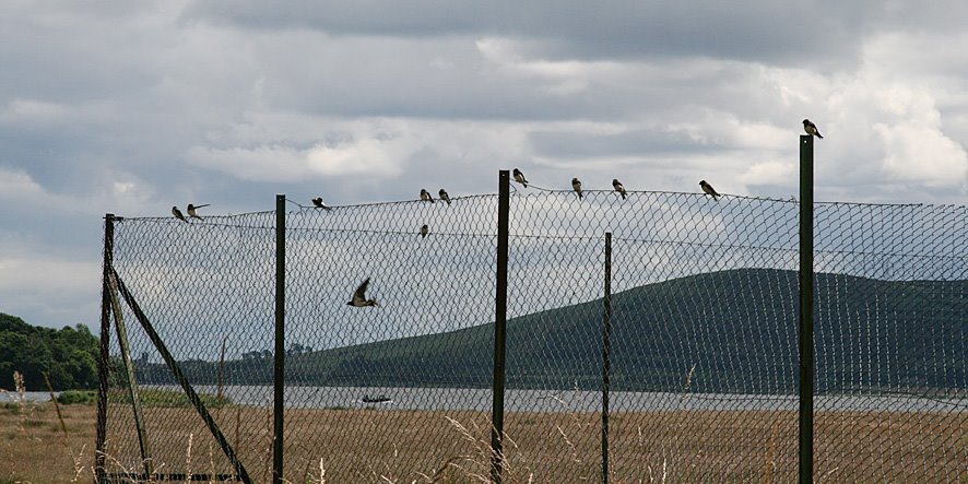 [Kinross+House+Garden+JUL9(12).jpg]