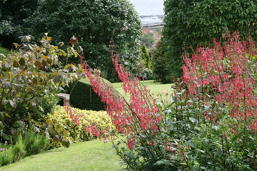 [SGW+JUL09.+Open+Garden+Culross+(10).jpg]