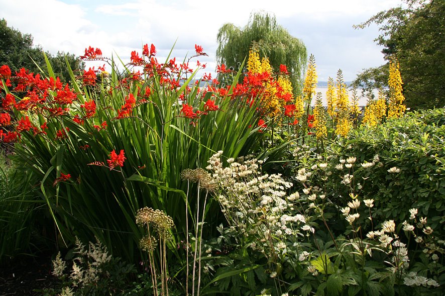 [SGW+JUL09.+Open+Garden+Culross+(1).jpg]