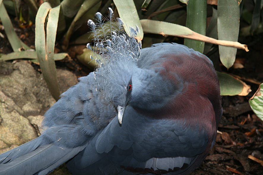 [SGW09+Edin+Zoo+(1).jpg]