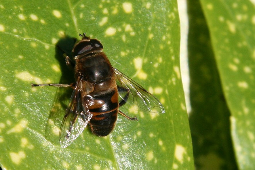 [SGW09+AUG5+(5).jpg]