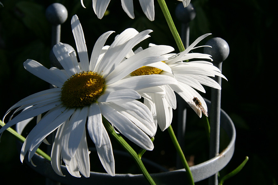 [SGW09+AUG5+(4).jpg]