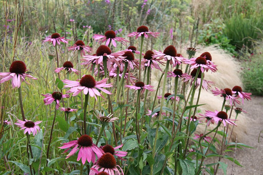 [SGW09+Cambo+SEPT11+(2).jpg]