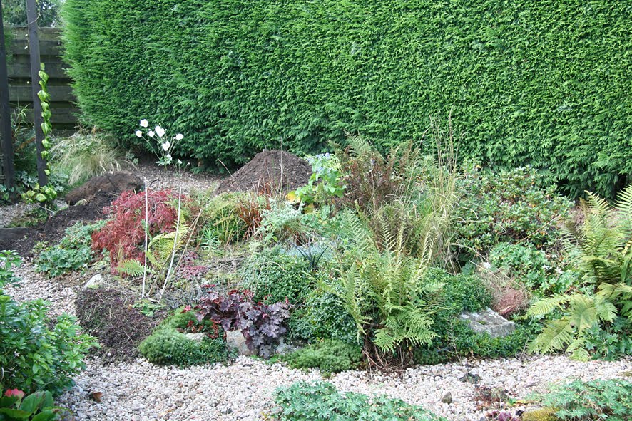 [Wildlife+pond+begins+(3).jpg]