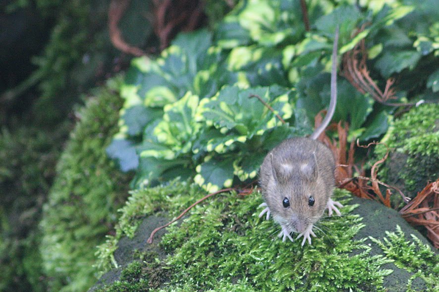 [SGW09+NOV5+(6).jpg]