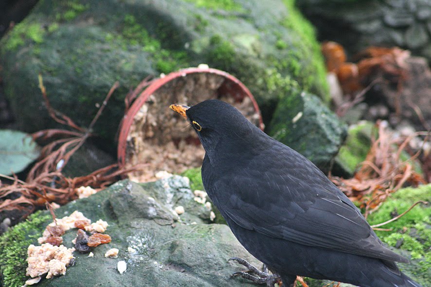 [SGW09+NOV5+(3).jpg]