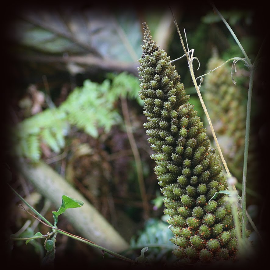 [GBBD+NOV09+(8).jpg]