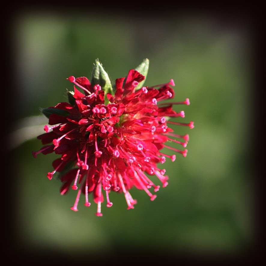 [GBBD+NOV09+(7).jpg]