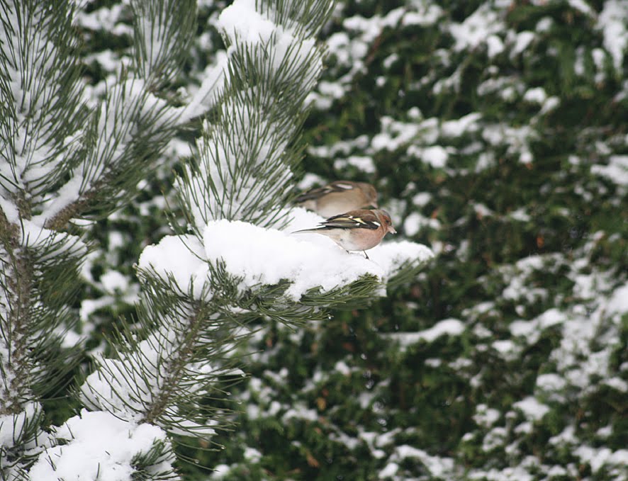 [SGW09+DEC23+(10).jpg]