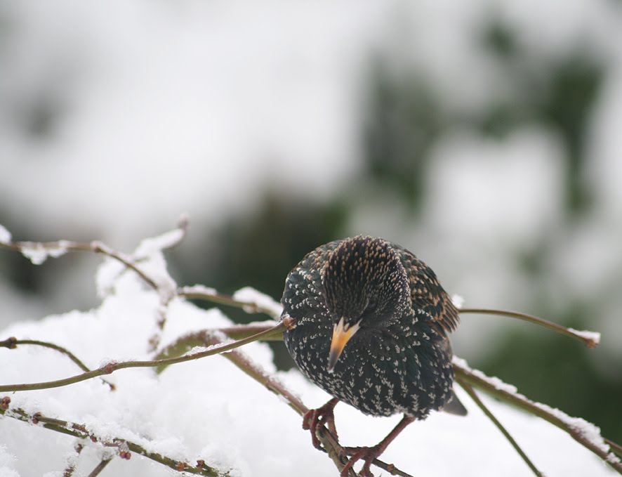 [SGW09+DEC23+(6).jpg]