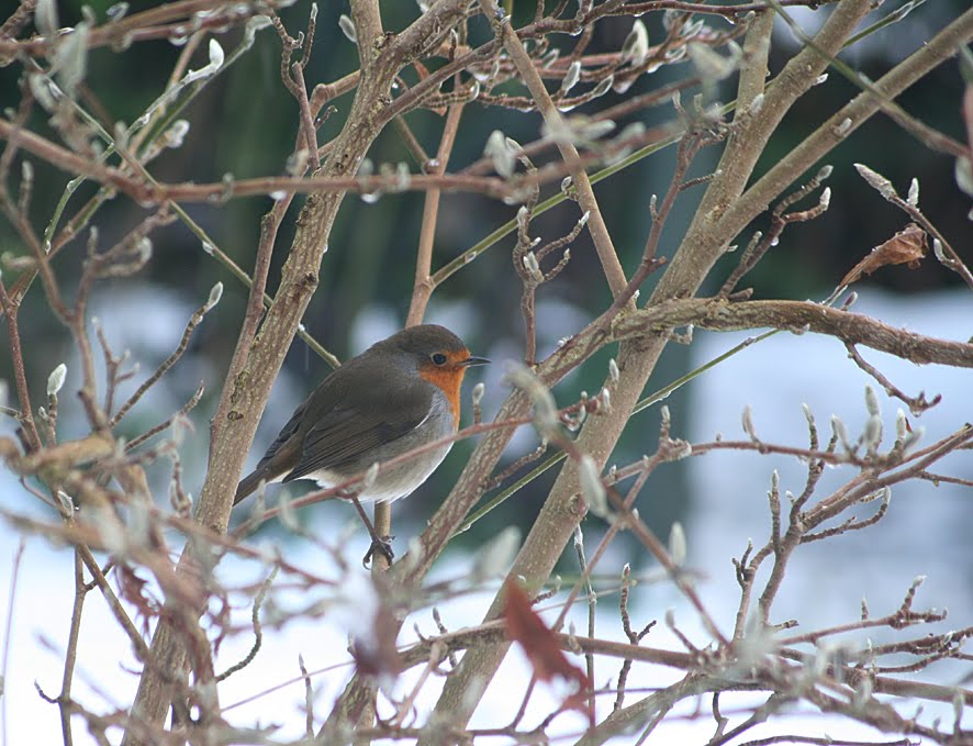 [SGW09+DEC23+(5).jpg]