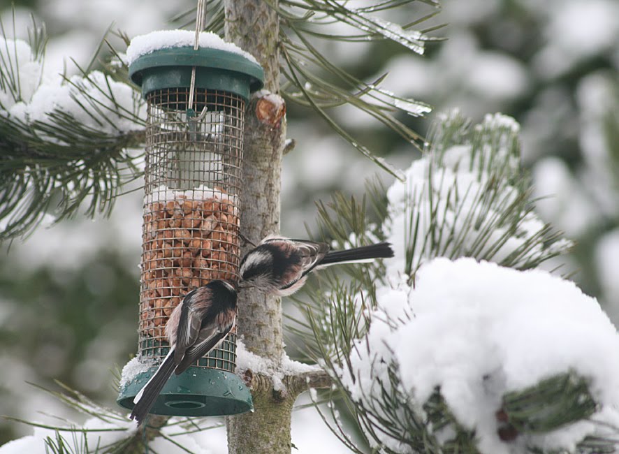 [SGW09+DEC24,+LTT's+(1).jpg]