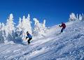 Skiing in Whistler image