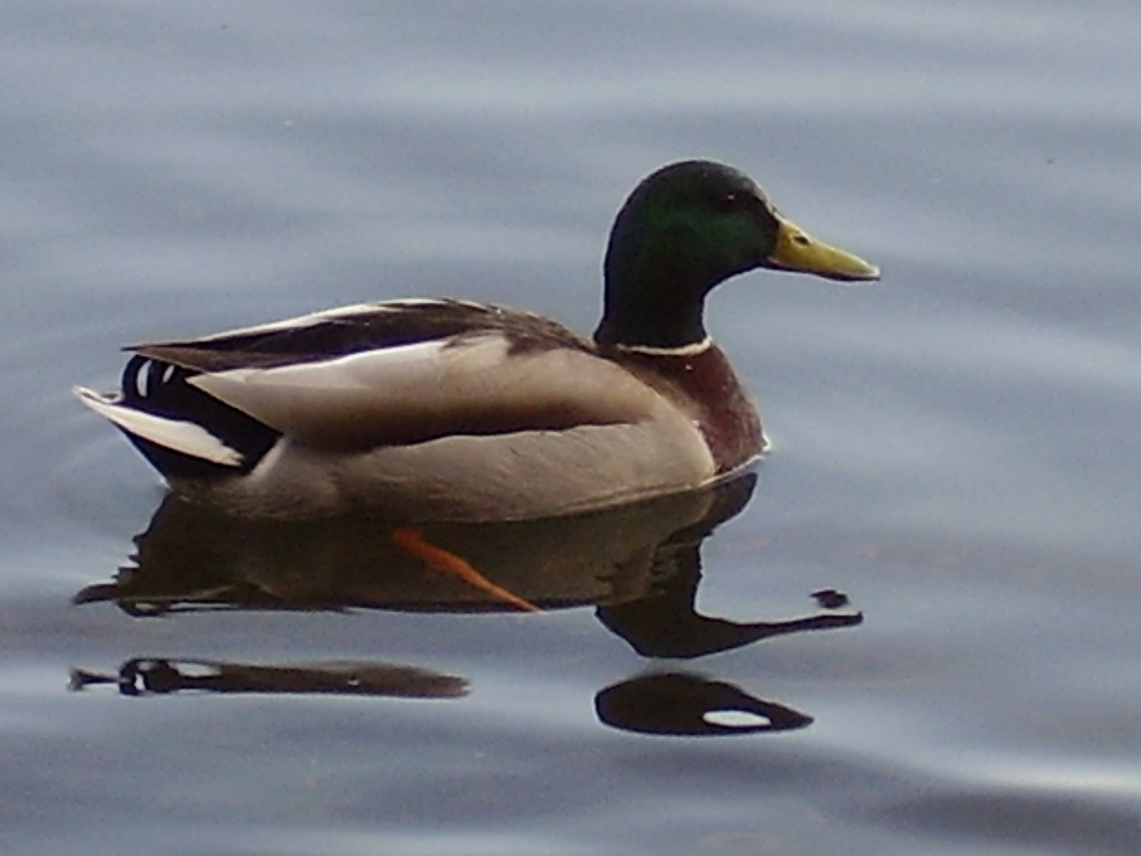 [easter+2009+011.JPG]