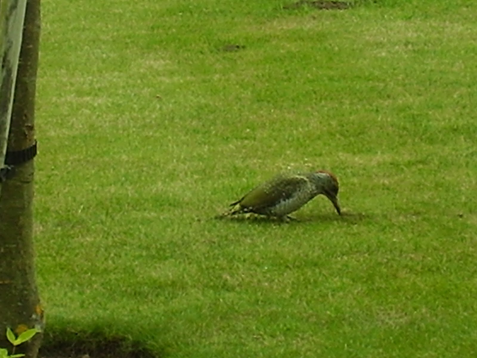 [august+2009+012.JPG]