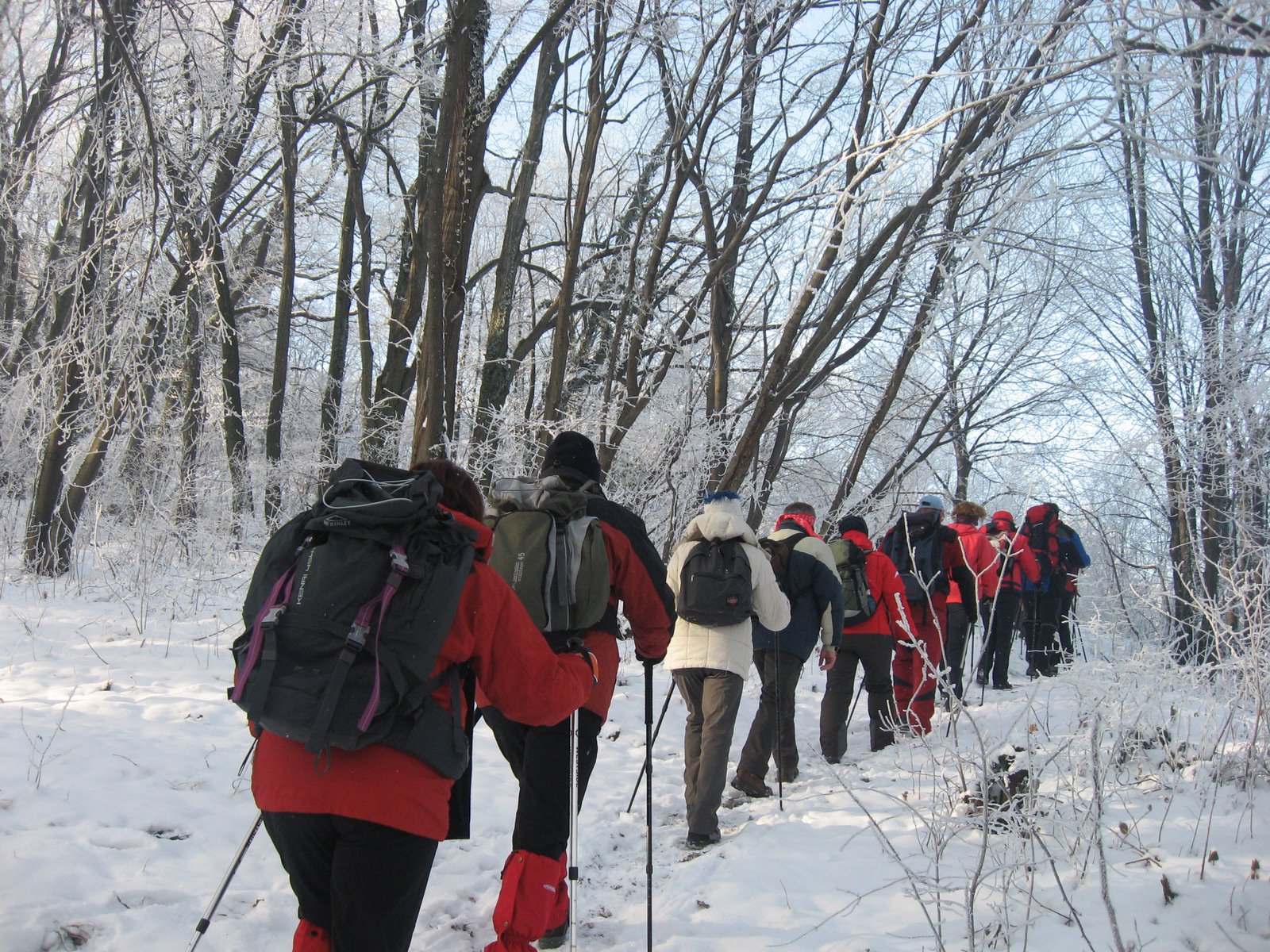 Walking Shoes and a Digital Camera: Winter in Fruska Gora