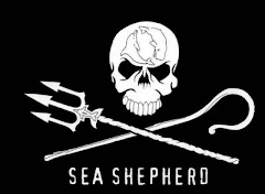 A Sea Shepherd cada vez mais viva!