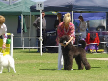 Spring Fair 2008