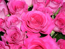 Hot Pink Roses!