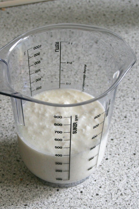 De Kleine Dingen Experiment Zelf Yoghurt Maken 2